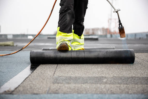 Best Roof Ventilation Installation  in Ponce Inlet, FL